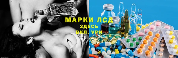 шишки Алзамай