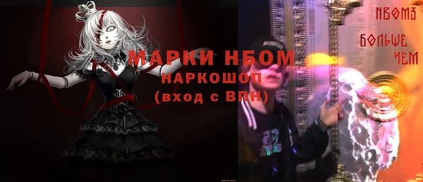 шишки Алзамай