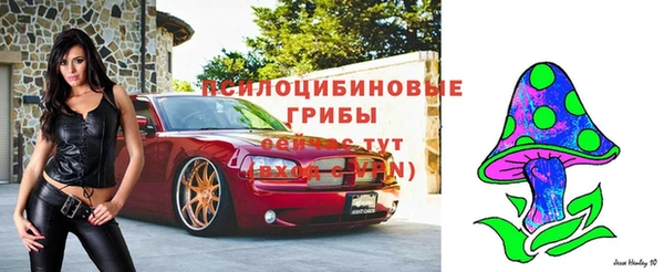 шишки Алзамай