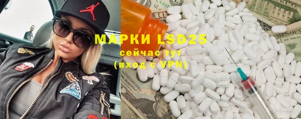шишки Алзамай
