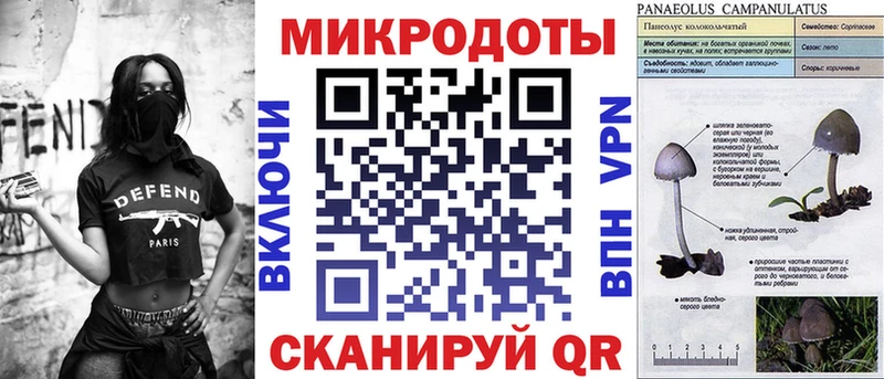 Галлюциногенные грибы Cubensis  Талица 